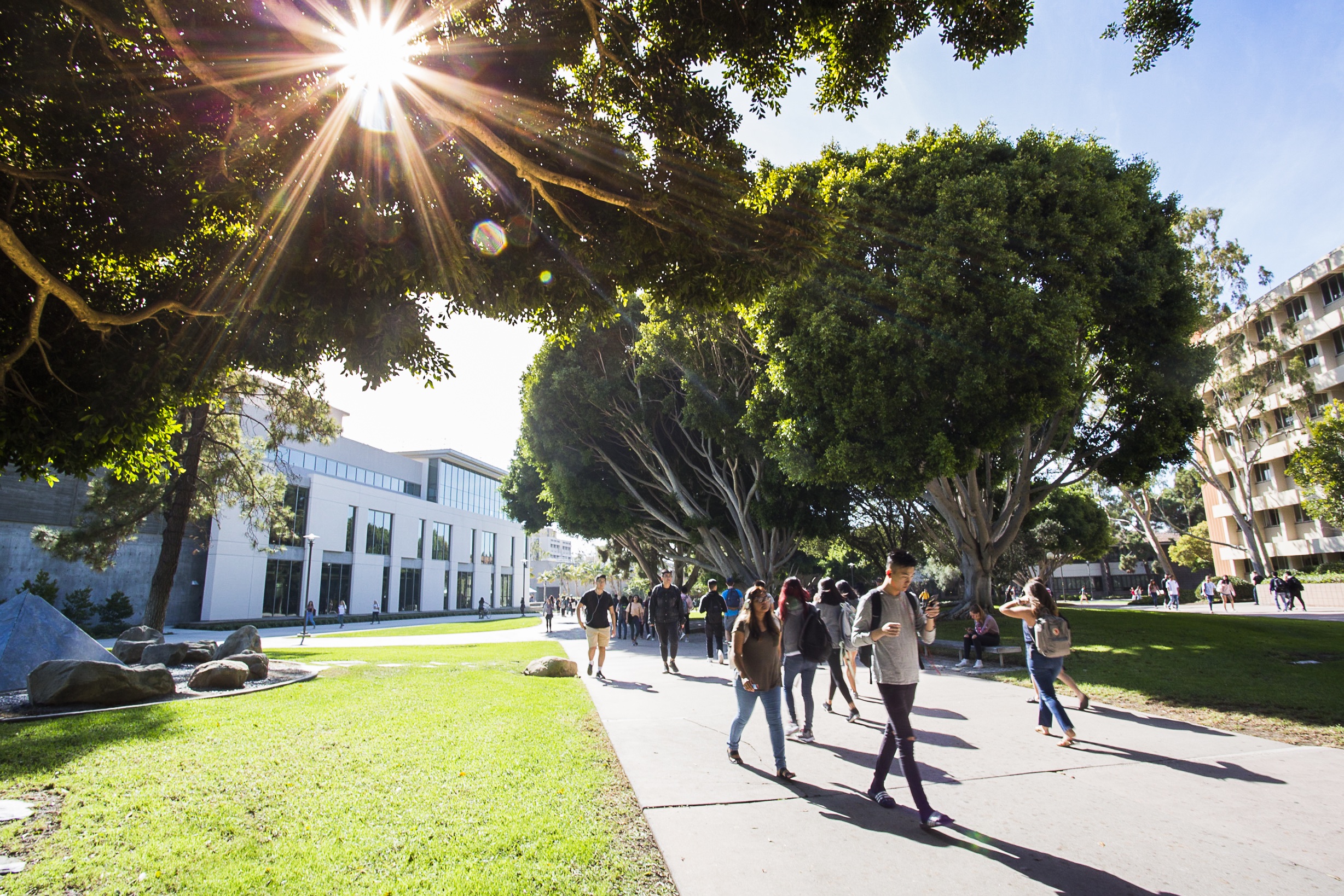 Campus Walk